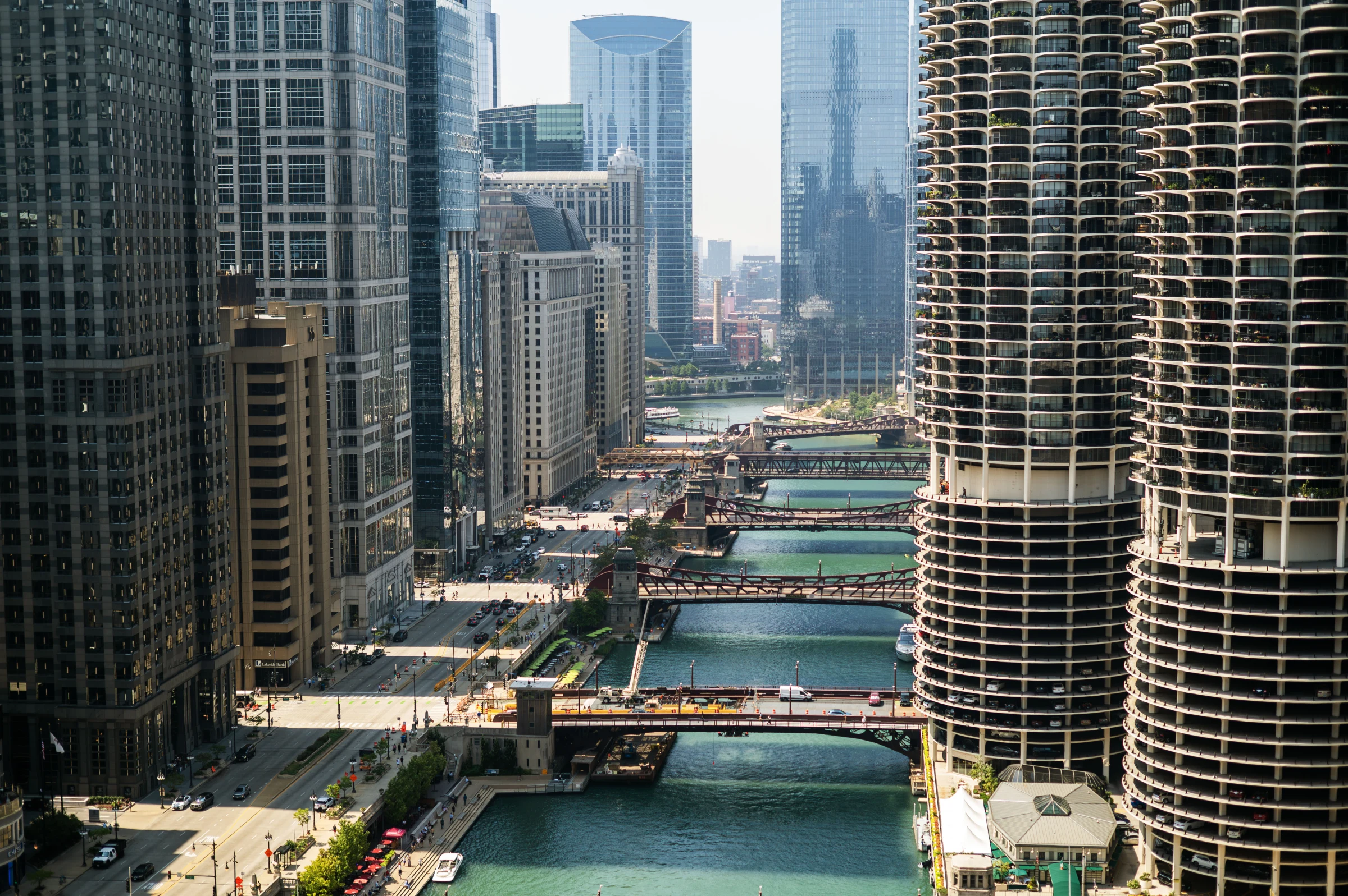American Forests — Chicago photography project